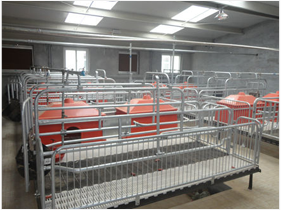 自動喂料系統(tǒng)