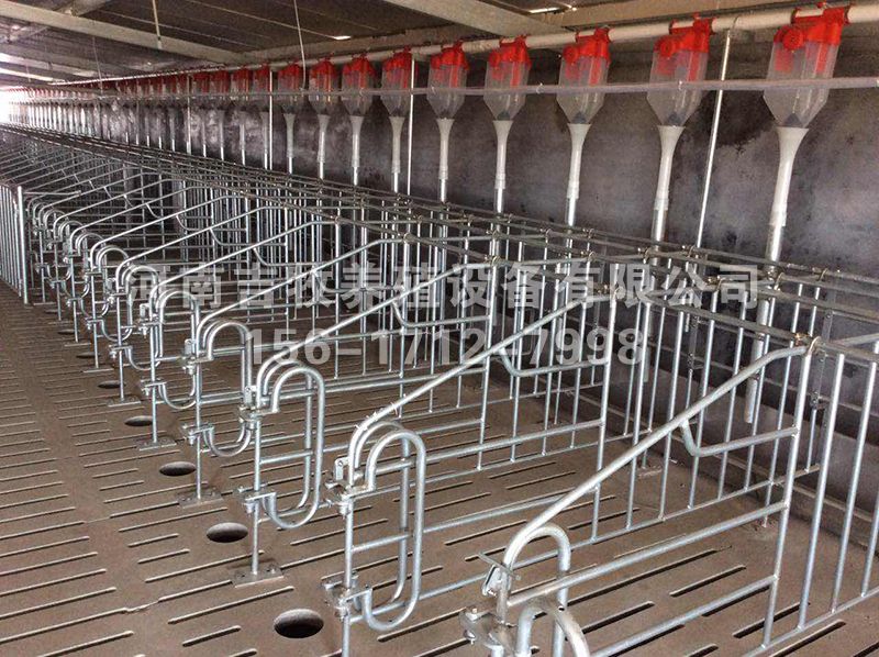 豬場(chǎng)供料系統(tǒng)