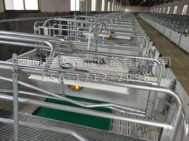 歐式母豬產(chǎn)床