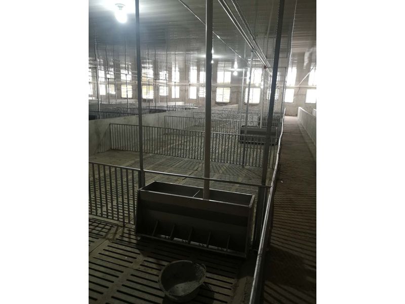 豬場自動(dòng)供料系統(tǒng) 